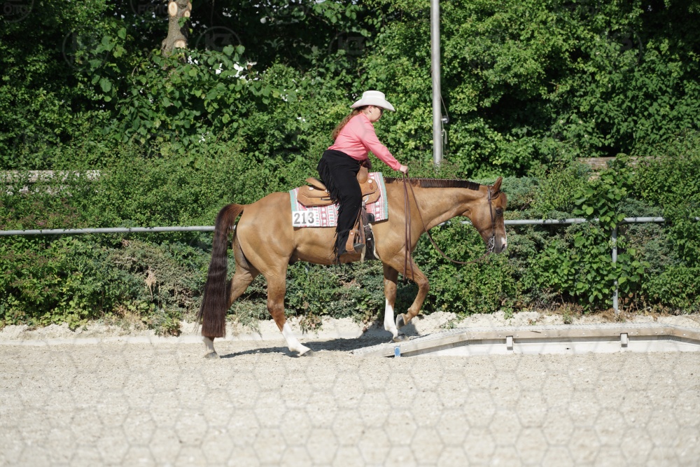 s_APF06800.jpg